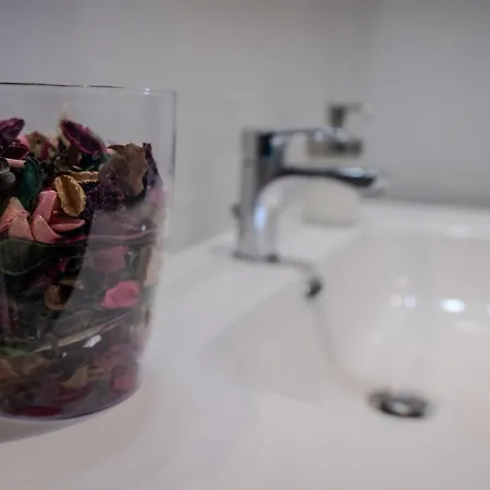 Bragadin75 In Vaticano Konukevi