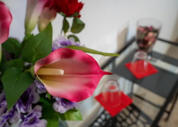 게스트하우스 Bragadin75 In Vaticano *