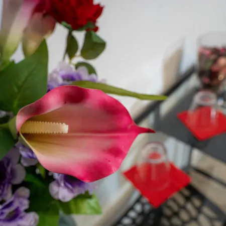 Pensión Bragadin75 In Vaticano *